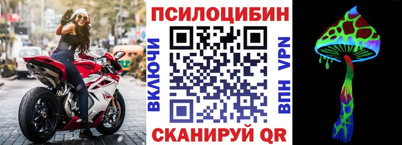 закладка  Жуковка  Галлюциногенные грибы GOLDEN TEACHER 